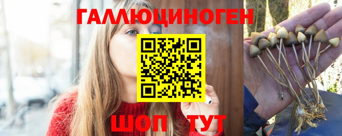 Дивногорск  Псилоцибиновые грибы GOLDEN TEACHER  Вход с VPN 