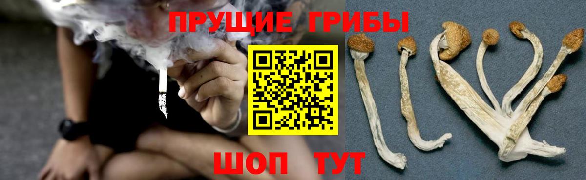 Галлюциногенные грибы ЛСД Дивногорск
